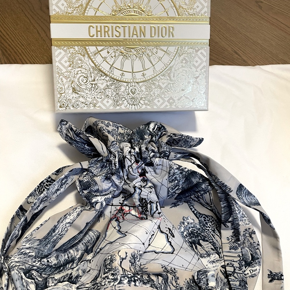 Dior around the world pouch